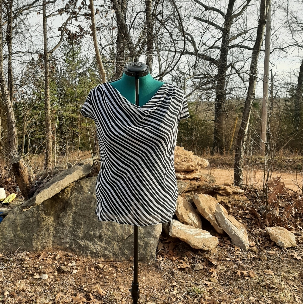 Black and White Worthington Sheer Top